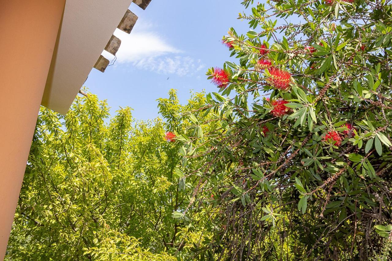 Villa Caterina La Maddalena  エクステリア 写真